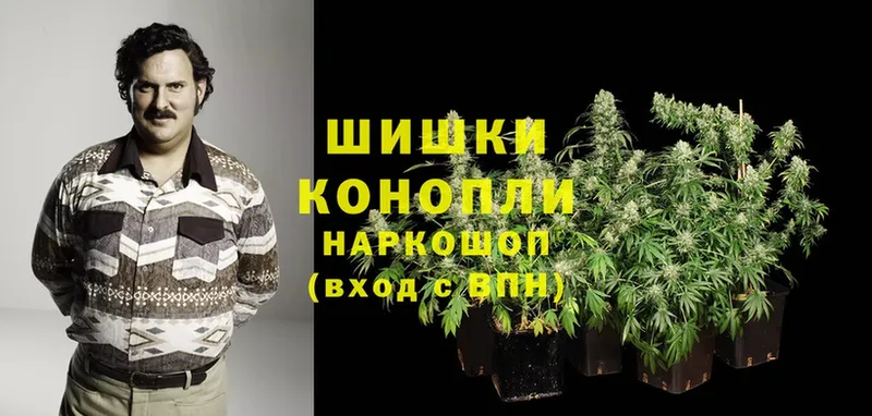 Конопля OG Kush  ссылка на мегу как войти  Беломорск 